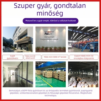 ESD-mentes védelmi zóna szalag, PVC, szélesség 4,8 cm, hossz 18 m vagy 30 m