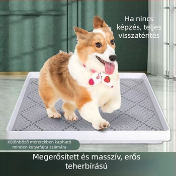 Extra-nagy kutya toalett fröcsögés elleni védelemmel és oszloppal, mosható, háztartási használatra