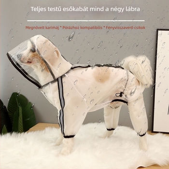 Teljes lefedésű esőkabát kutyáknak, kicsi–közép–nagy testűek számára, Teddy, Bichon és Golden Retriever.