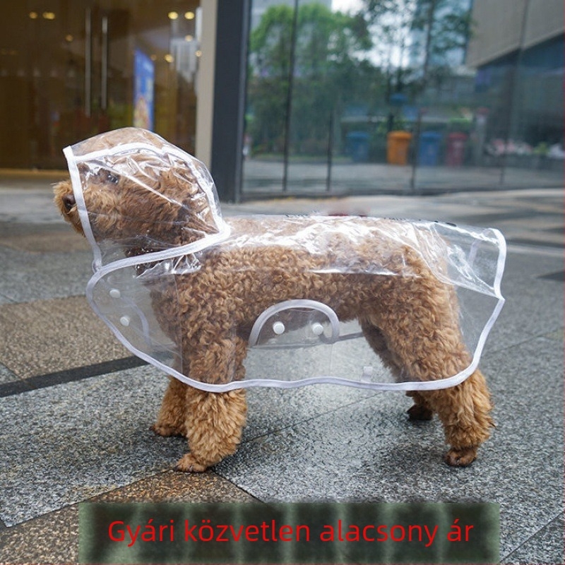 Teljes lefedésű esőkabát kutyáknak, kicsi–közép–nagy testűek számára, Teddy, Bichon és Golden Retriever.