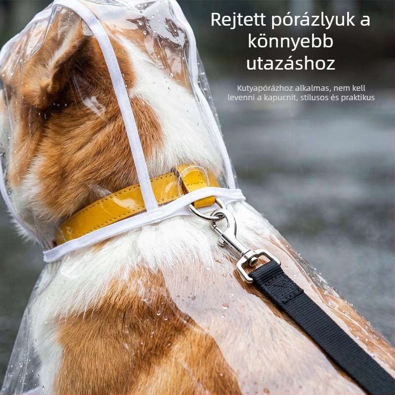 Teddy Bichon kutya esőkabát, vízálló, átlátszó, kis- és közepes méretű kutyáknak.