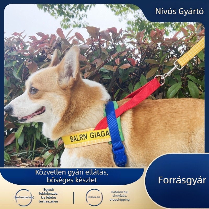 Nylon hám és póráz készlet sétáltatáshoz, kis- és közepes méretű kutyáknak, Corgi és Shiba Inu