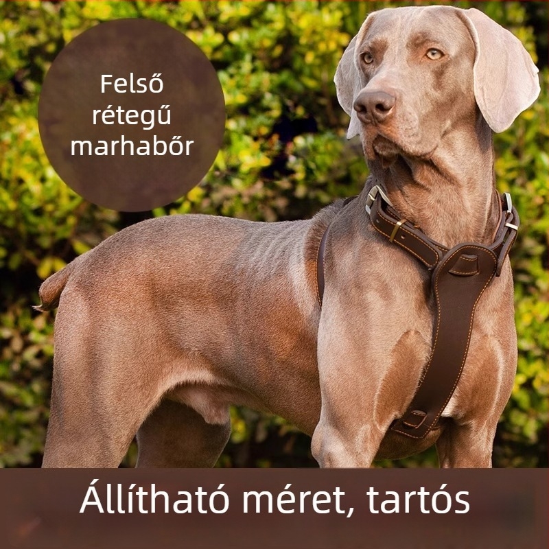 Mellény-stílusú kutyahám bőrből, első réteg marhabőrből, pórázzal, közepes és nagy testű kutyáknak