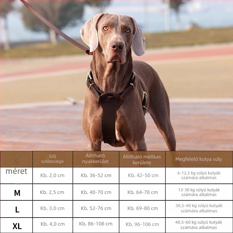 Mellény-stílusú kutyahám bőrből, első réteg marhabőrből, pórázzal, közepes és nagy testű kutyáknak