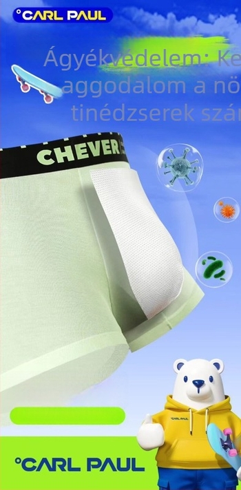Zöld sorozat Cp21548, 4 darab pamut boxer briefs férfiaknak, lélegző, középmagos derekú