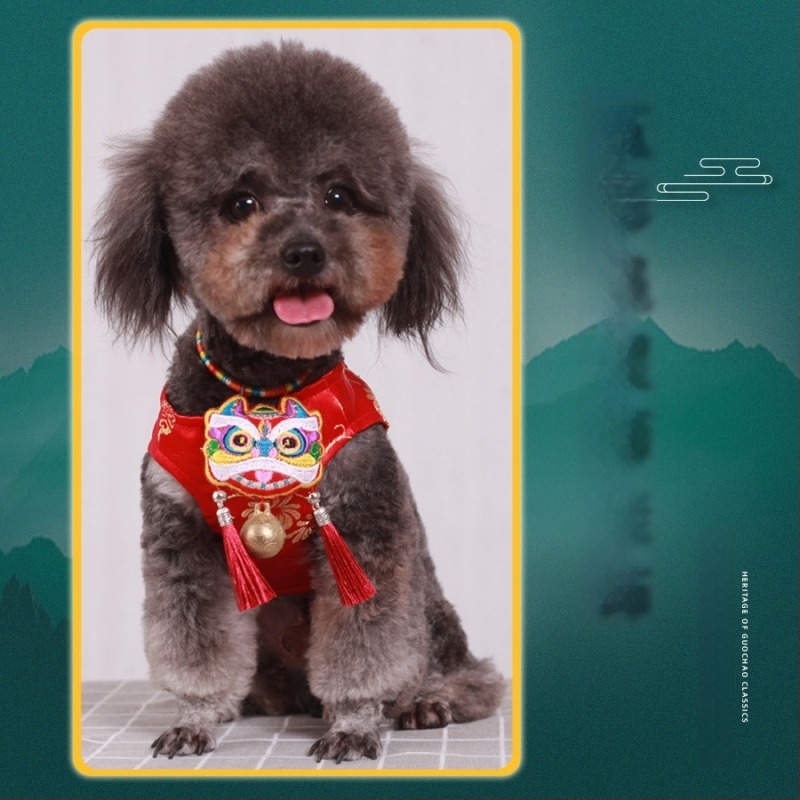 Kisállatok számára készült nyakörv-sál csengővel, kis testű kutyáknak és macskáknak, kutya- és macska címkék, hosszú élettartamú zár, Teddy/Bichon stílusú, Dragon Boat Festival nyaklánc