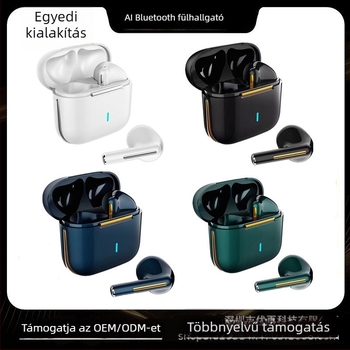 H6 Privát modell vezeték nélküli Bluetooth fülhallgató, Bluetooth 5.4, fél-in-ear, TWS, AI fordítás
