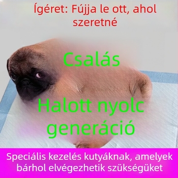 Kutyatoalett-edző eszköz: rögzített helyen történő vizelés és székletürítés