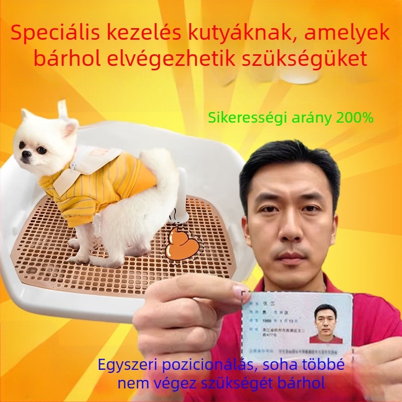 Kutyatoalett-edző eszköz: rögzített helyen történő vizelés és székletürítés