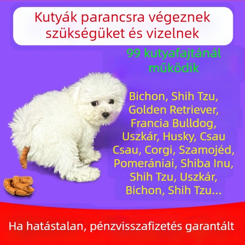 Kutyatoalett-edző eszköz: rögzített helyen történő vizelés és székletürítés