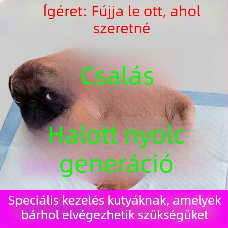 Kutyatoalett-edző eszköz: rögzített helyen történő vizelés és székletürítés