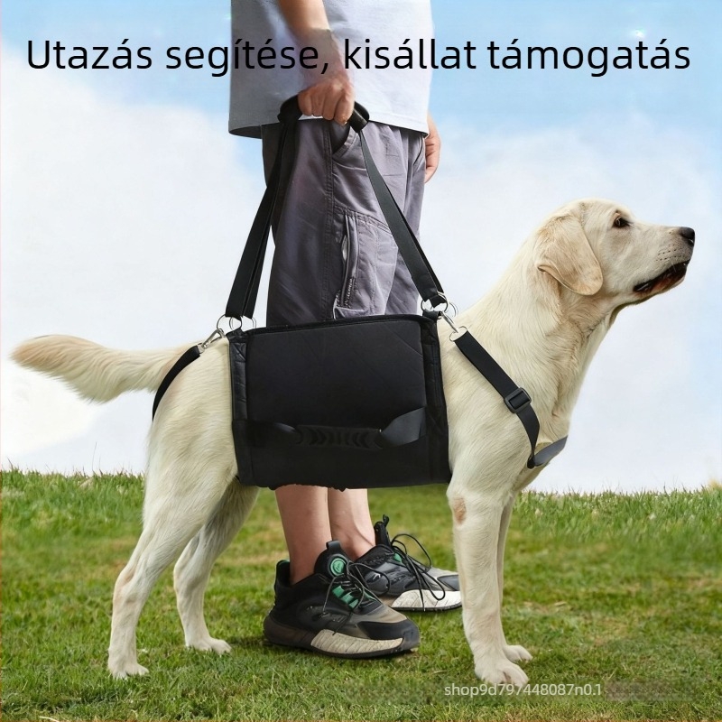 Állítható kutyahám, mellkas- és hátsó részével, kültéri sétákhoz