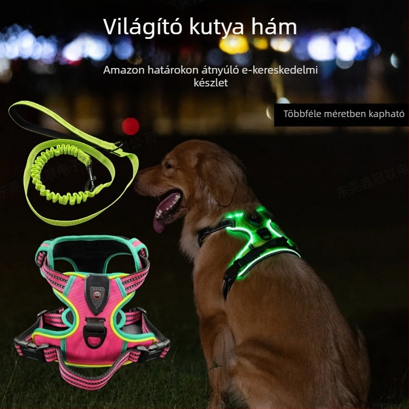 LED világító állathám optikai rosttal, fényes figyelmeztető mellény éjszakai sétákhoz