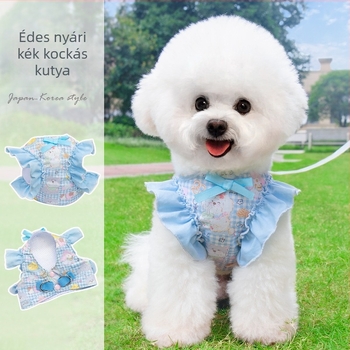Kis testű kutyáknak öv-stílusú hám, pórázzal — Bichon Frisé, Toy Poodle, Shiba Inu