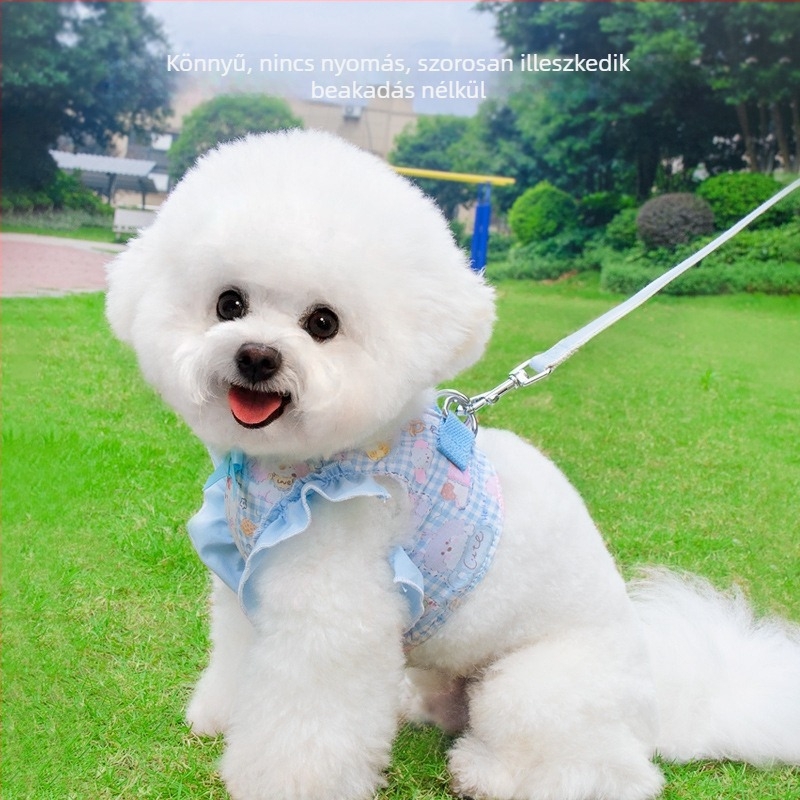 Kis testű kutyáknak öv-stílusú hám, pórázzal — Bichon Frisé, Toy Poodle, Shiba Inu