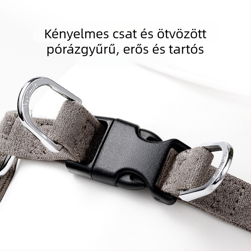 Bőr mellény-hám és póráz kis testű kutyáknak és kölyökkutyáknak