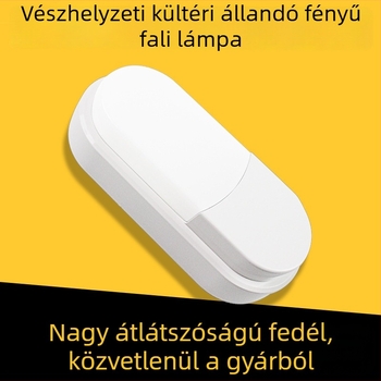 IP65-ös LED lámpa, 220V, 1 LED modul, 96 lm, 6000K, 120° fényvetítési szög, modell CB-10554