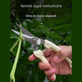 Kerti és metsző ollók virágokhoz, ágakhoz és gyümölcsfákhoz