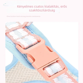 Kis testű kutyáknak készült hálós anyagú hám és póráz, sétákhoz