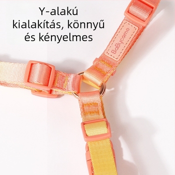 Kutyahám, puha és tartós, pórázzal – kényelmes sétákhoz és kiképzéshez
