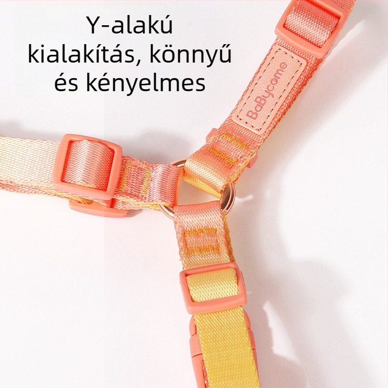 Kutyahám, puha és tartós, pórázzal – kényelmes sétákhoz és kiképzéshez