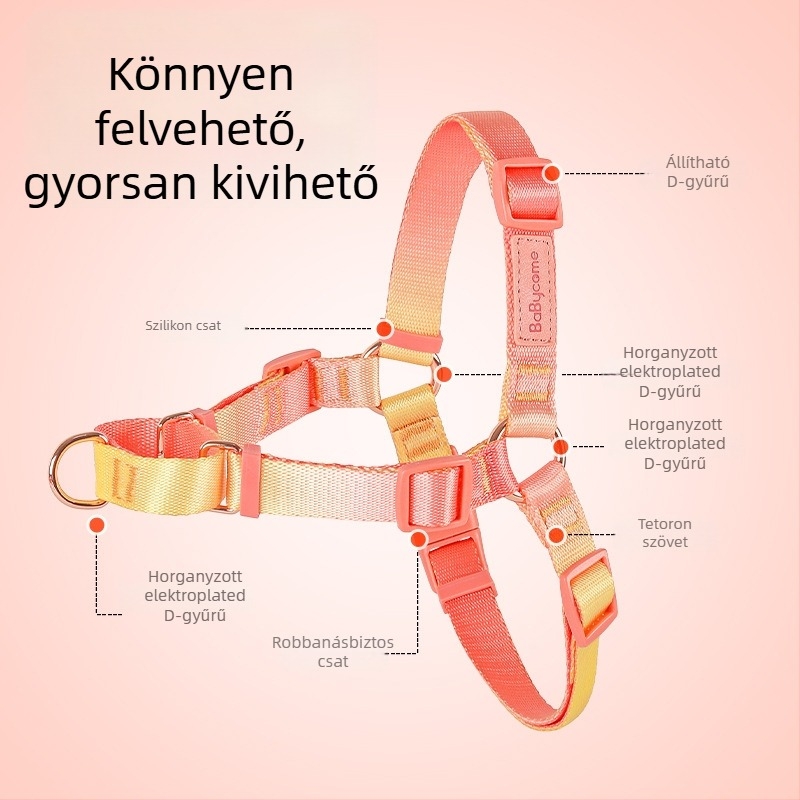 Kutyahám, puha és tartós, pórázzal – kényelmes sétákhoz és kiképzéshez