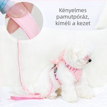 Mellény-stílusú hám és póráz kistestű kutyáknak (Teddy/Bichon Frisé) – sétára