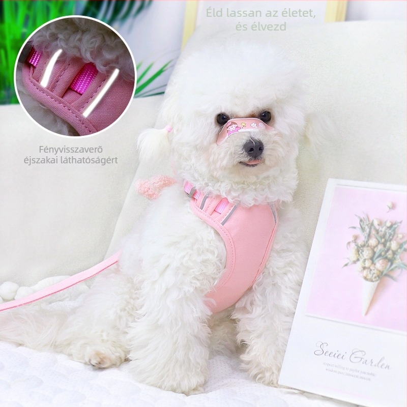Mellény-stílusú hám és póráz kistestű kutyáknak (Teddy/Bichon Frisé) – sétára