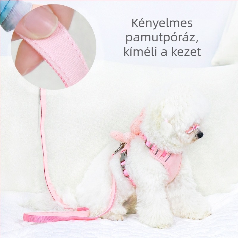 Mellény-stílusú hám és póráz kistestű kutyáknak (Teddy/Bichon Frisé) – sétára