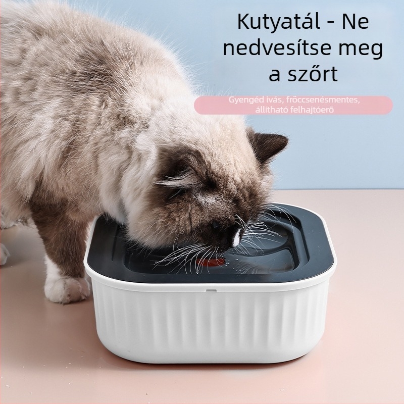 Autóba szerelhető úszó víztál háziállatok számára