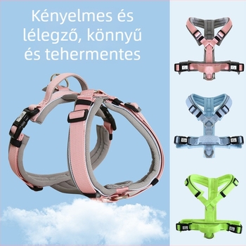 Fényvisszaverő mellényes hám kis testű kutyáknak – séták