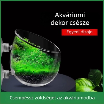 Mini akvárium tájépítő pohár vízinövényekhez