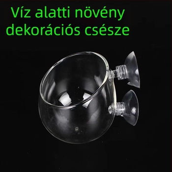 Mini akvárium tájépítő pohár vízinövényekhez