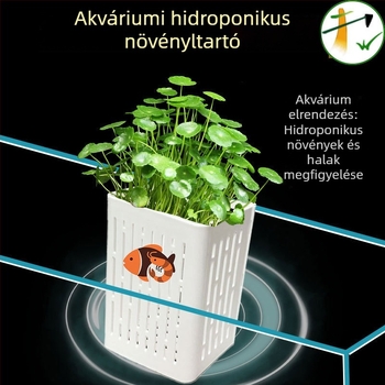 Falihoz rögzíthető hidropóniás ültetőkosár akváriumhoz, lebegő növényekhez, dísz akváriumi táj kiegészítő