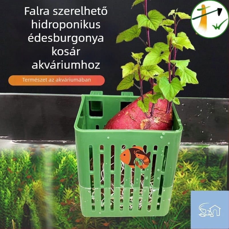 Falihoz rögzíthető hidropóniás ültetőkosár akváriumhoz, lebegő növényekhez, dísz akváriumi táj kiegészítő