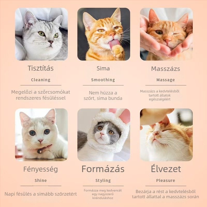 Macska- és kutya egygombos fésű — ápoló eszköz a laza szőr eltávolítására és a szőrzet kisimítására