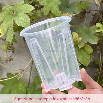 Átlátszó orchidea cserép légoszlopos gyökérszabályozással