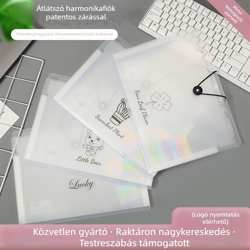 A4-es átlátszó akordeon irattartó, többszintes, diákoknak és irodai dokumentumokhoz, 12 rekesz