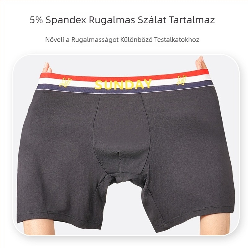 Modal férfi boxeralsó, középmagas derék, rugalmas és lélegző, európai–amerikai stílus logóval