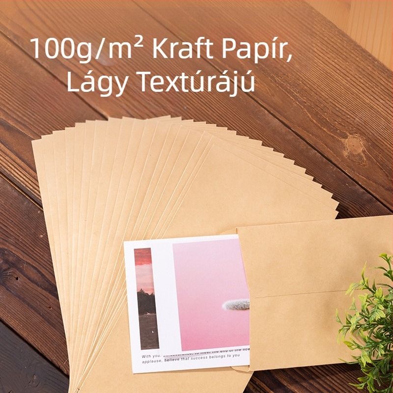 Deli Brand No. 5 kraft papír boríték, üres felülettel, méret 220×110 mm, modell 3423A, 20 db/csomag