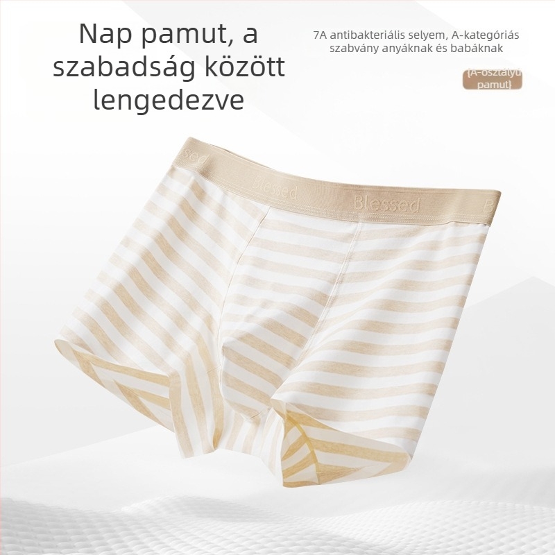 Férfi boxeralsónadrág, légáteresztő, antibakteriális, nagy méretű, mulberry selyem betéttel, gyorsan száradó, pamut keverék