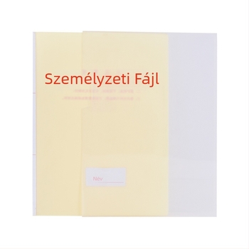 Műanyag irattartó doboz dolgozói dossziékhoz, A4 PP formátum