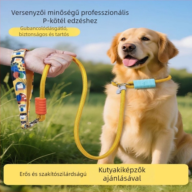 Színes kutyapóráz puha habos fogantyúval és integrált nyakörvvel