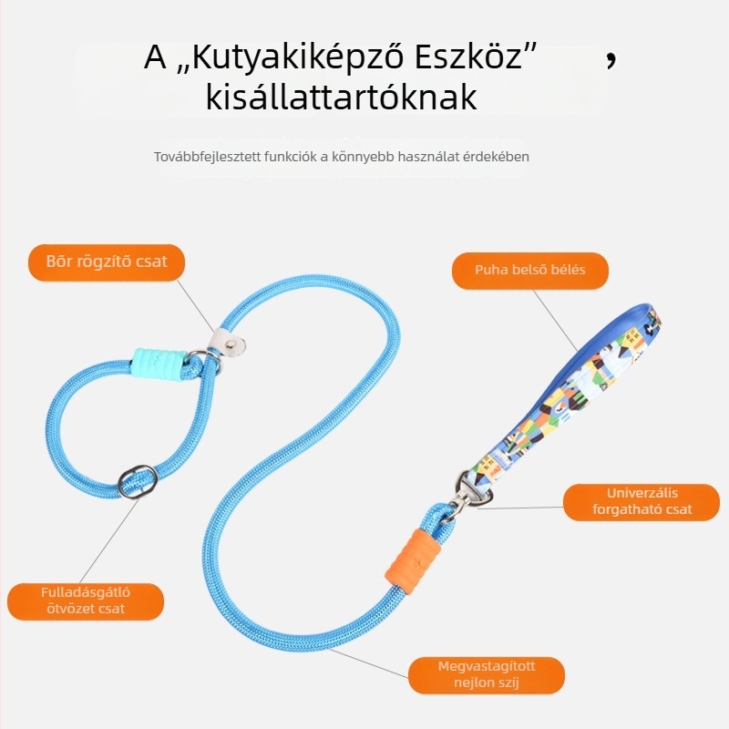 Színes kutyapóráz puha habos fogantyúval és integrált nyakörvvel