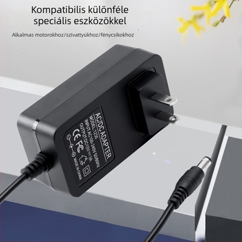 24V 2A tápegység manikűr lámpához, LED szalaghoz és víztisztító atomizátorhoz, 48W