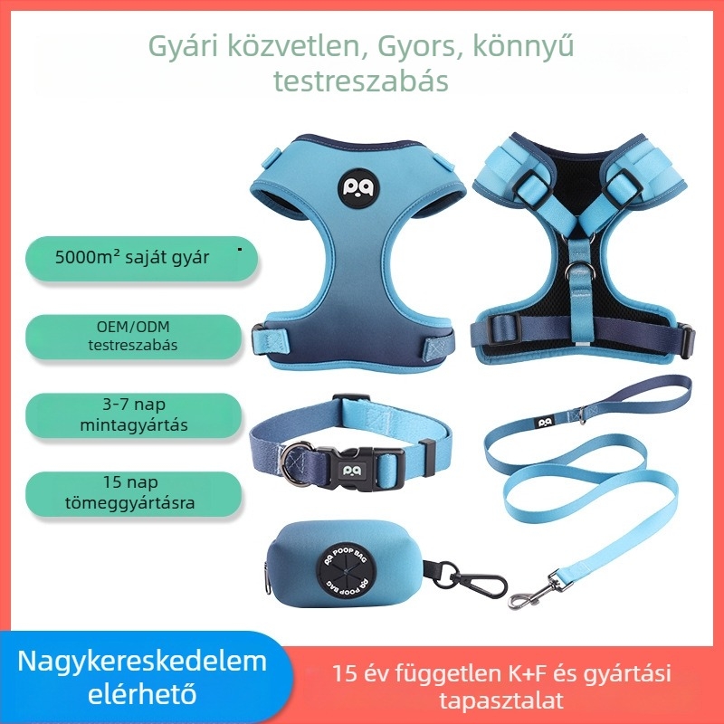 Kutyahám, nyakörv és póráz készlet egyedi nyomtatással