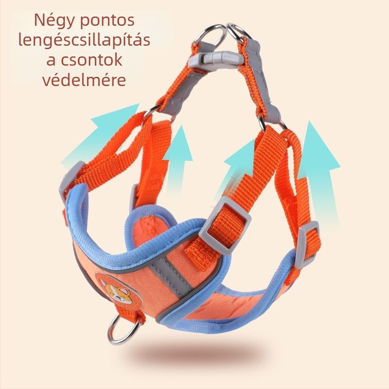 Fényes reflexiós mellényes kutyahám és póráz kis méretű ebek számára