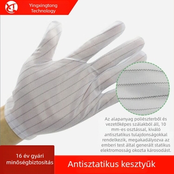 Antisztatikus csíkos kesztyűk elektronikai gyártáshoz tisztatérben, ötujjas porvédett kesztyű