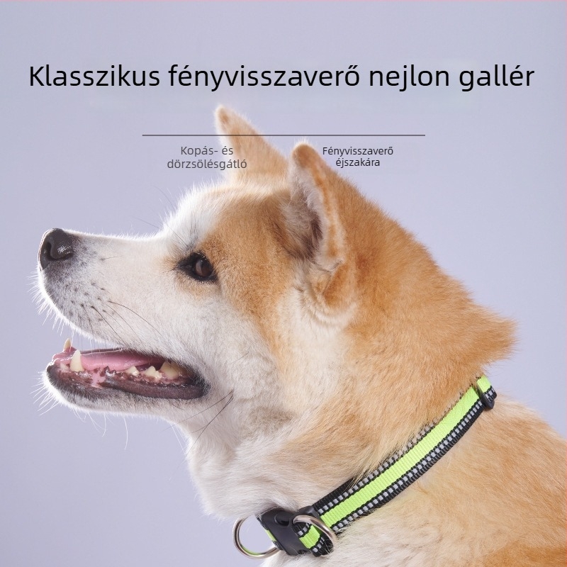 Kutyanyakörv dupla D csattal, fényvisszaverő nylon nyakörv, kis- és közepes testű kutyáknak
