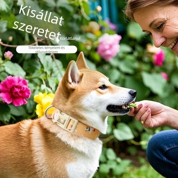 Nylon kutyanyakörv kis- és közepes testű kutyáknak, gravírozható, állítható, fényvisszaverő, az elvesztés megelőzésére